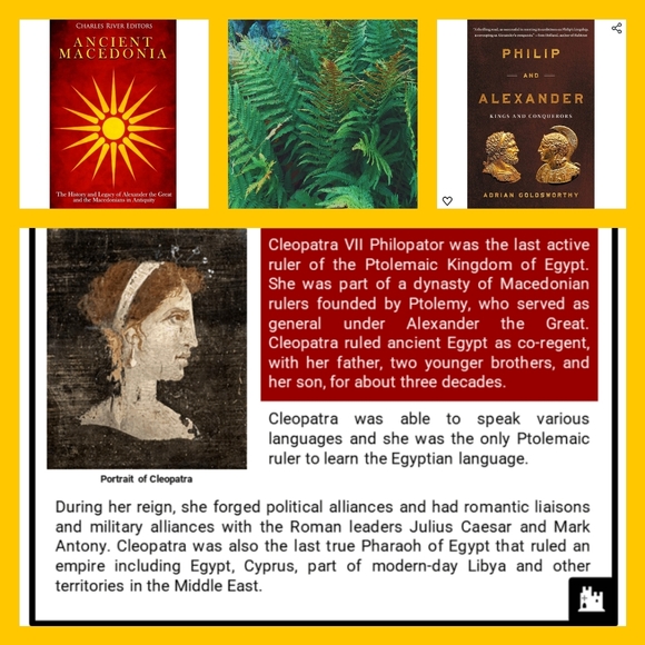 Meet your Posher, Michelle 🙇🏻♀️ - Picture 11 of 16